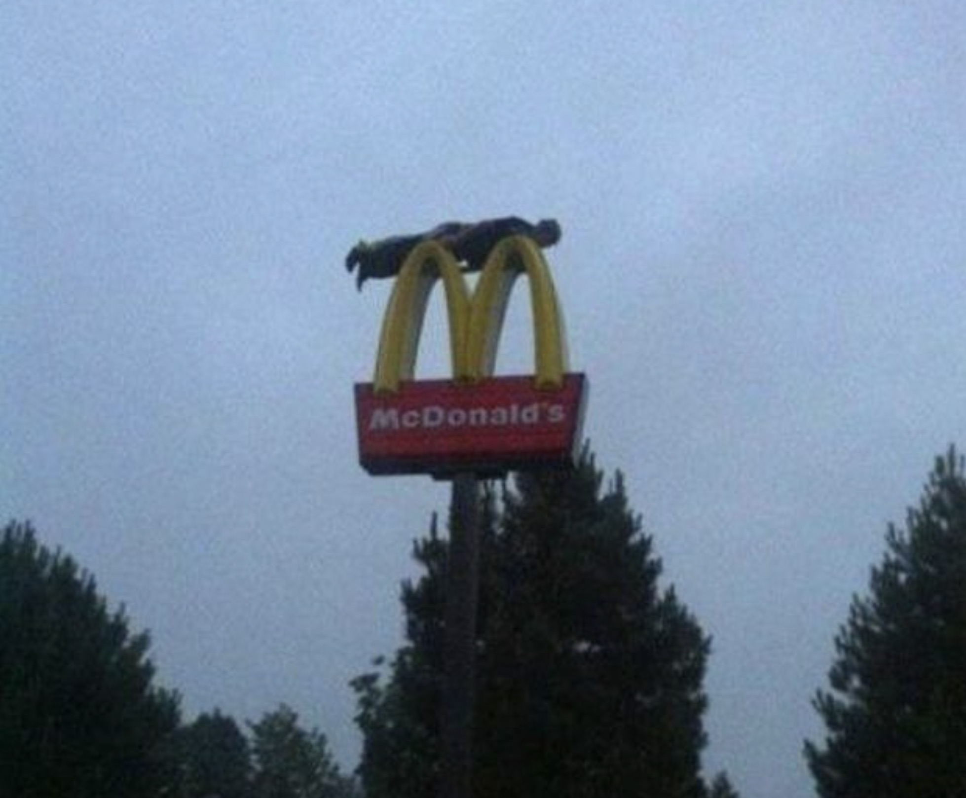 planking meme - McDonald's